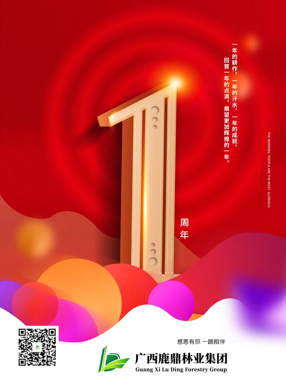 广西不朽情缘电子游戏官网林业集团成立1周年