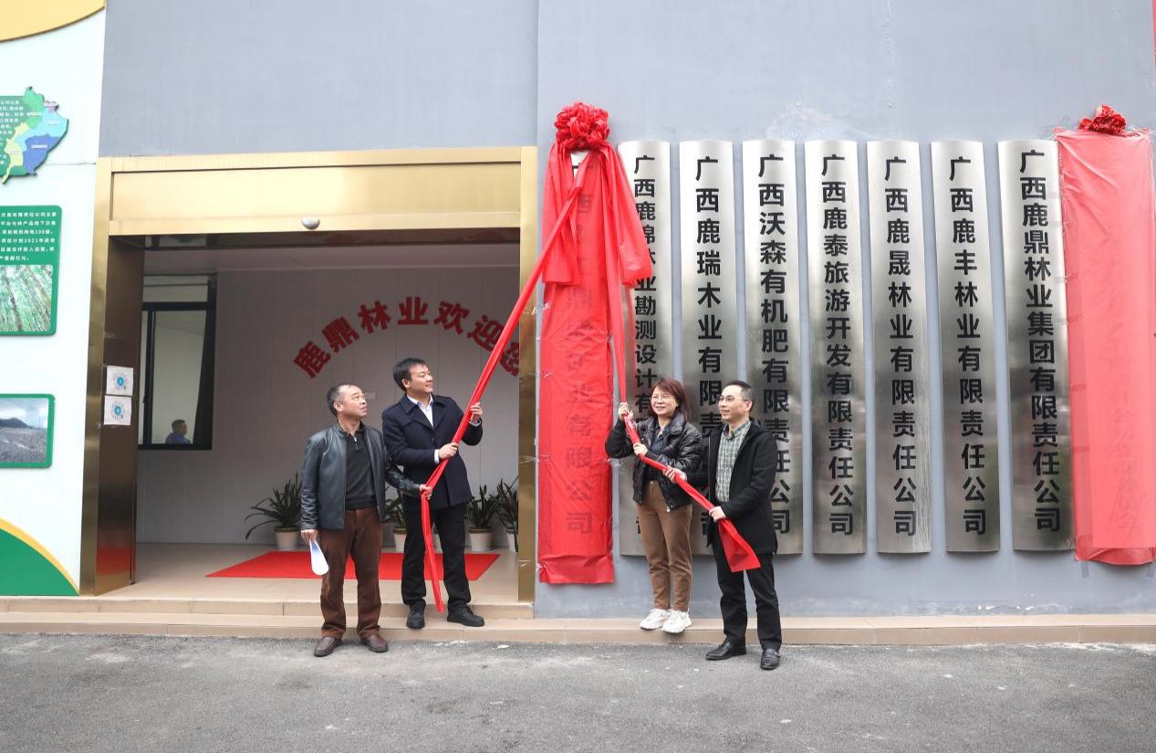 广西森工鼎盛矿业有限公司在不朽情缘电子游戏官网林业集团举行揭牌仪式