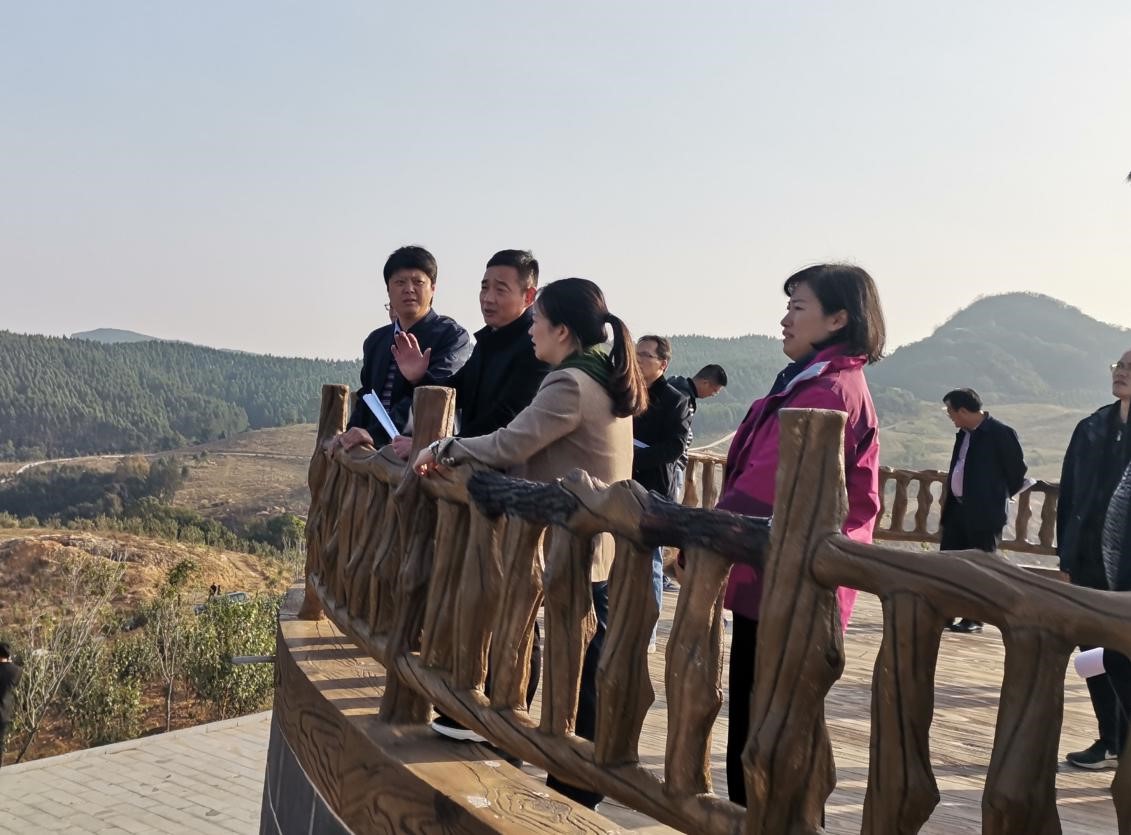 鹿寨县委县政府一行到龙母水库调研集团康养项目