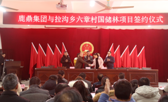 不朽情缘电子游戏官网林业集团与拉沟乡就国储林项目首单签约