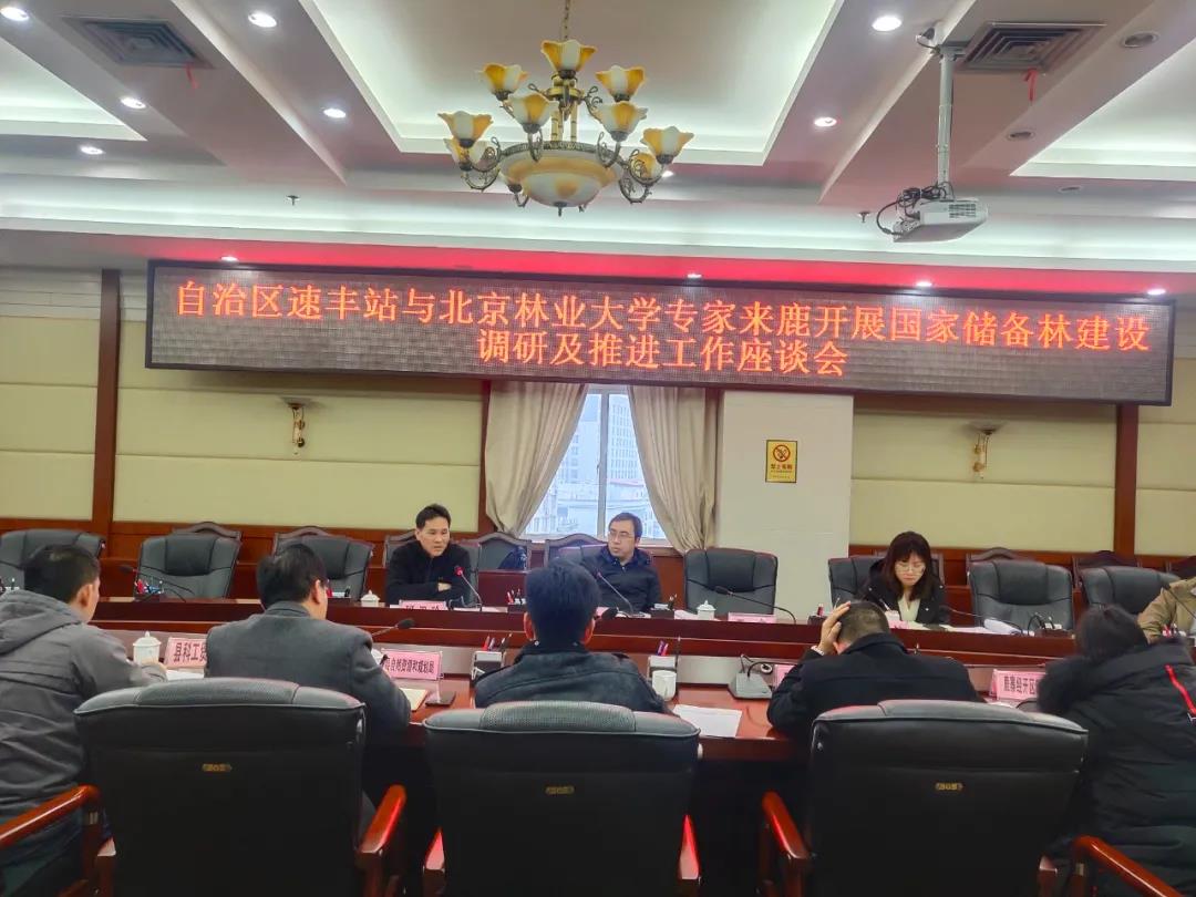 强化调研指导 全力推进国家储备林项目建设