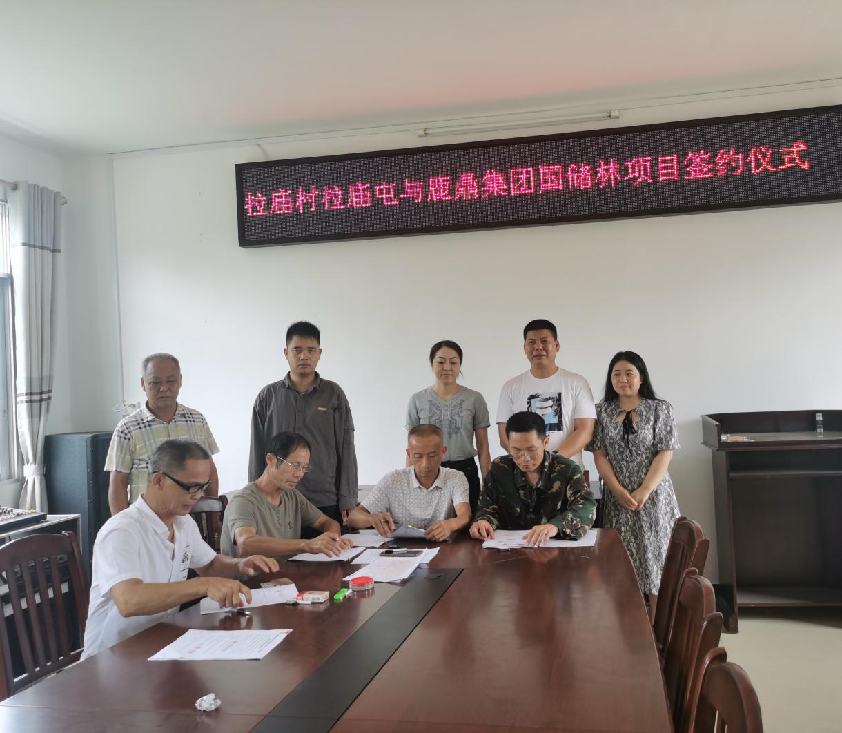 鹿丰公司与鹿寨县寨沙镇拉庙村拉庙屯集体签订合同