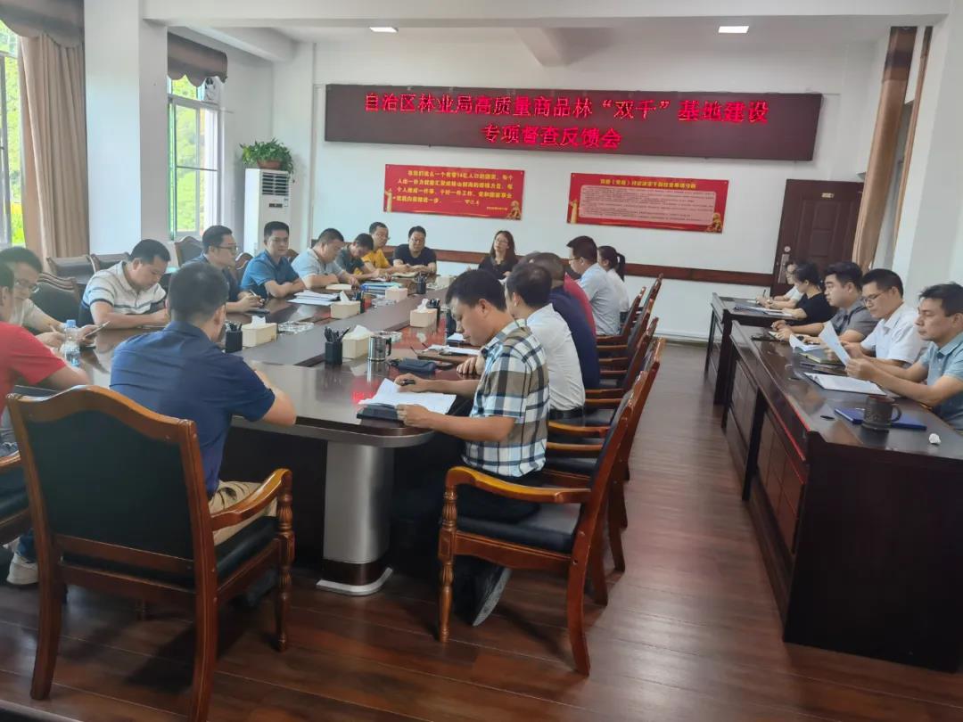 自治区林业局到不朽情缘电子游戏官网集团开展国储林项目建设专项督查