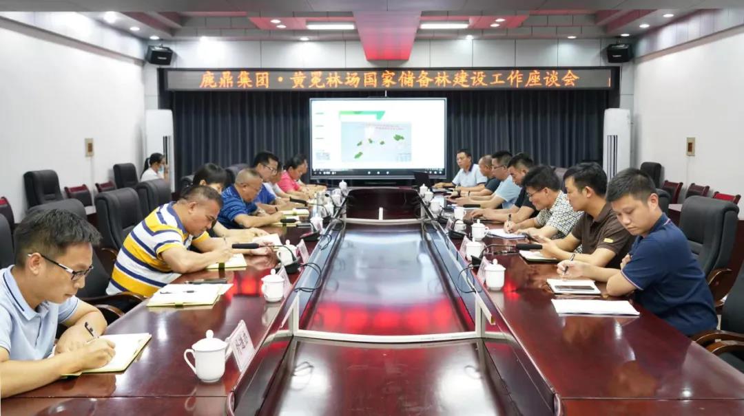 不朽情缘电子游戏官网林业集团与黄冕林场座谈交流国储林建设工作