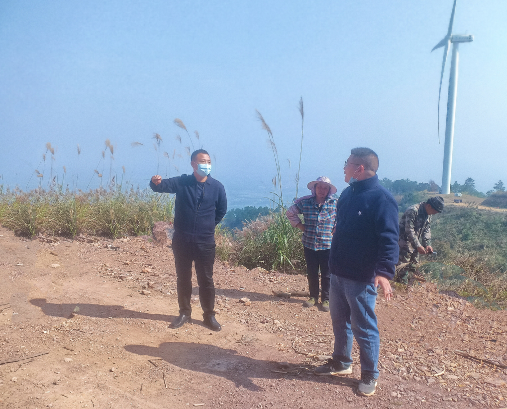 副董事长、总经理赵文东到林地指导工作