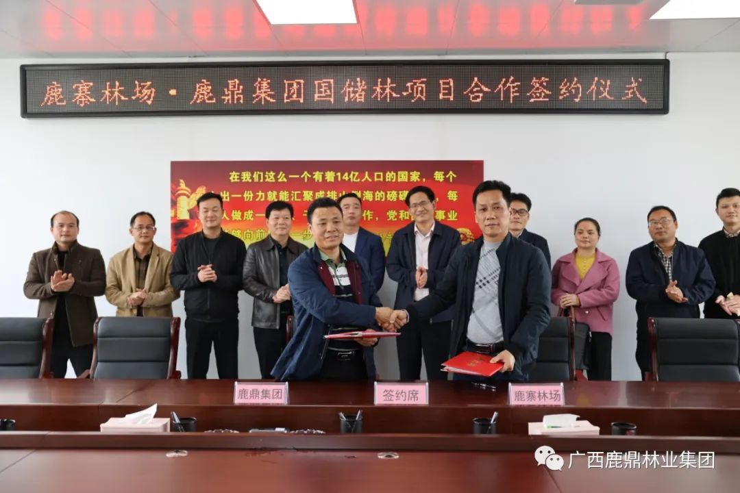 不朽情缘电子游戏官网集团与鹿寨县林场举行国储林项目合作签约仪式2.jpg