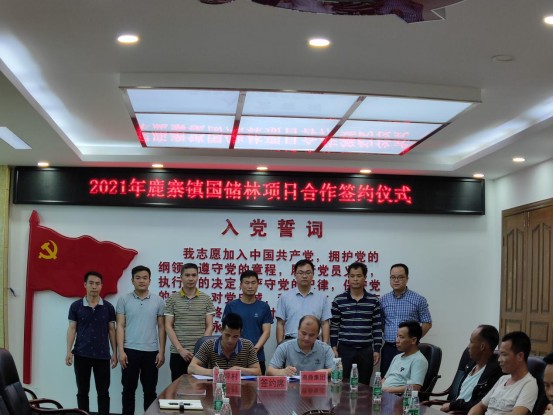 不朽情缘电子游戏官网林业集团与鹿寨镇国储林项目合作 首单成功签约.jpg