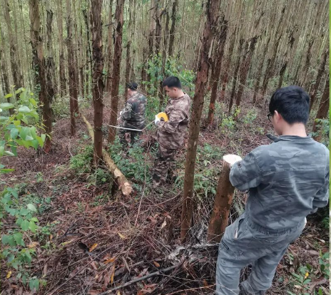不朽情缘电子游戏官网春日奋斗图鉴 |“鹿”力同心 ，奋楫前行