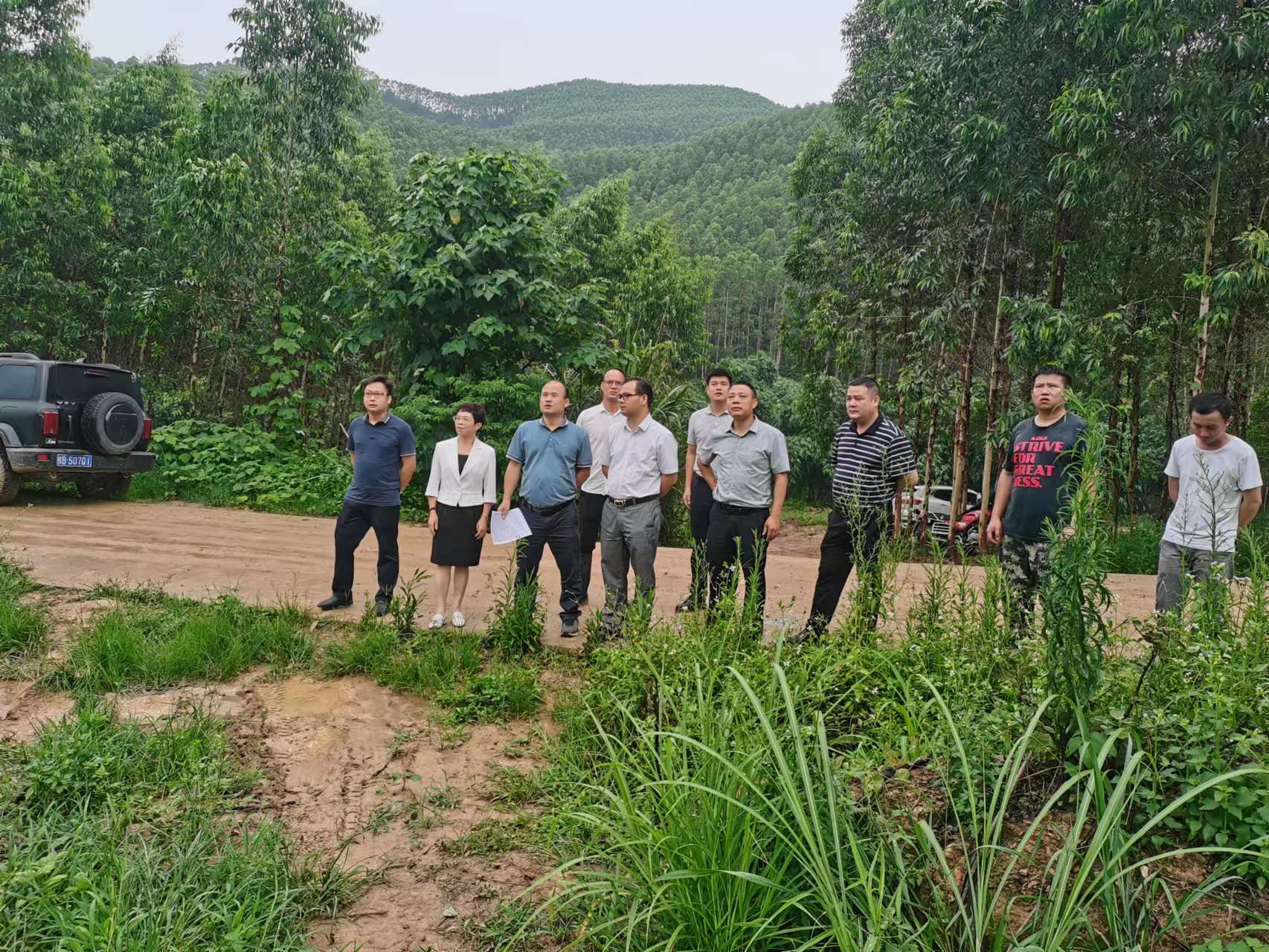 韦宏到不朽情缘电子游戏官网集团调研指导工作