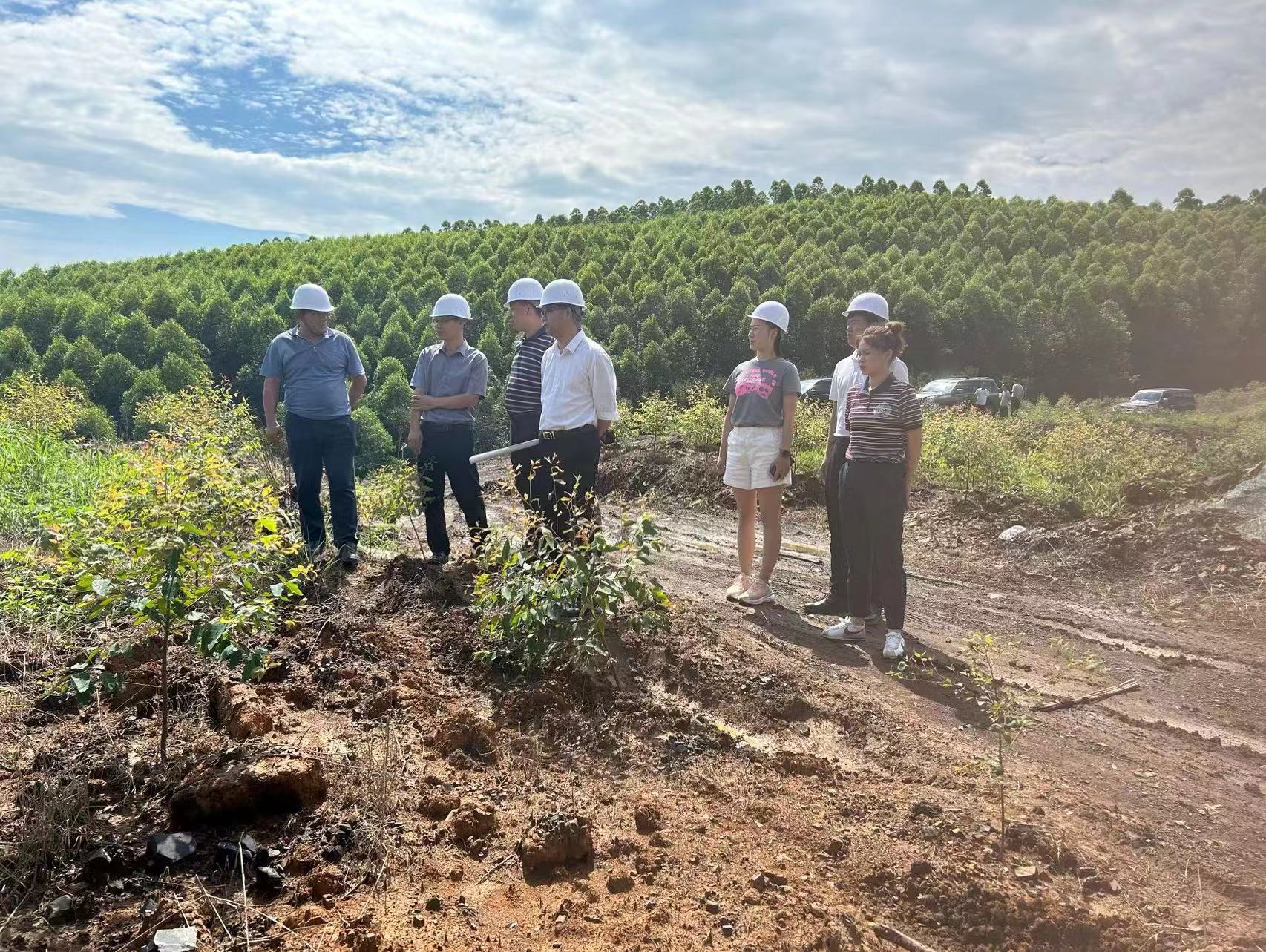 韦宏到龙坪矿区调研指导工作