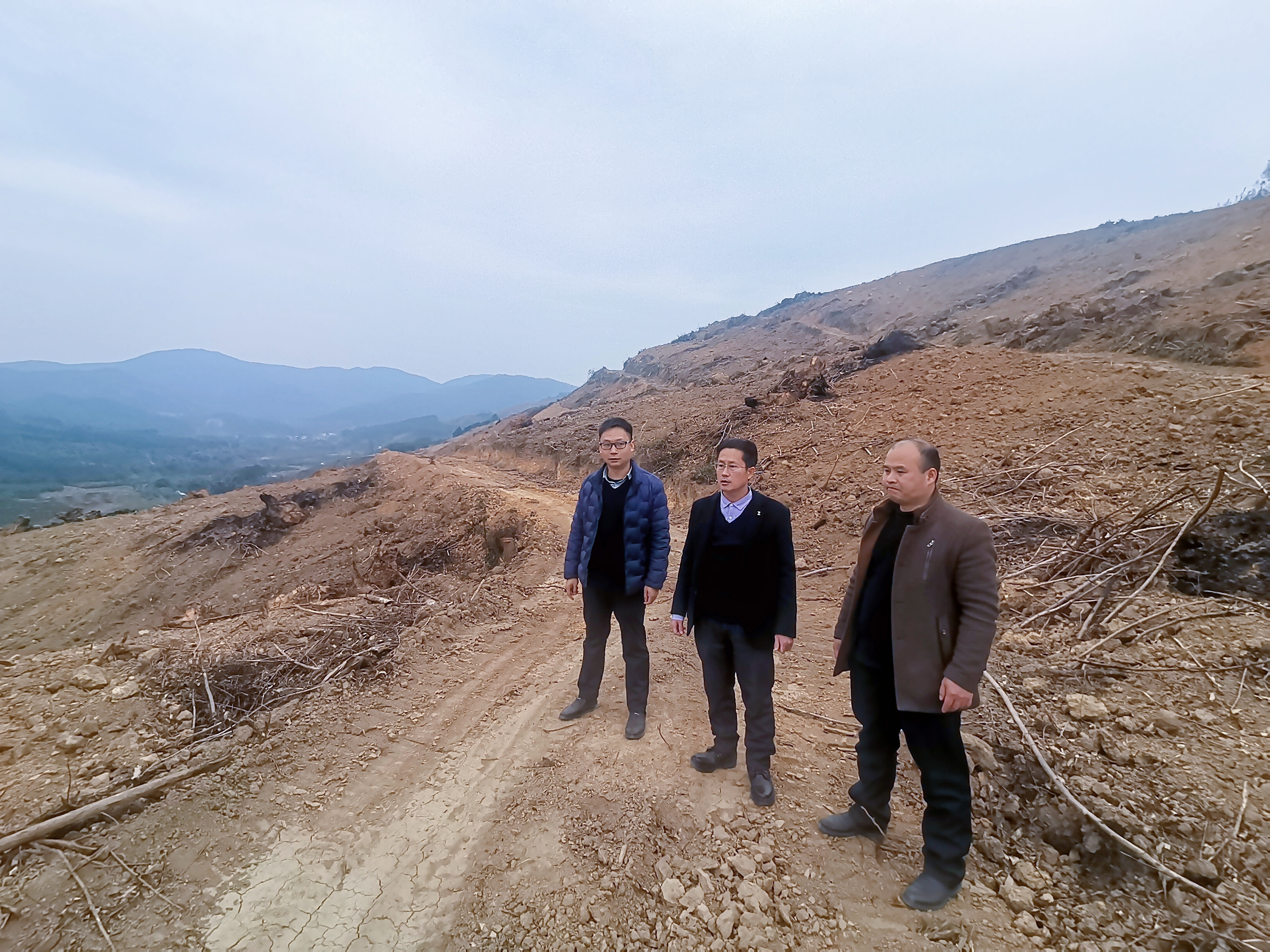 副董事长肖崇福到鹿寨县林地指导工作