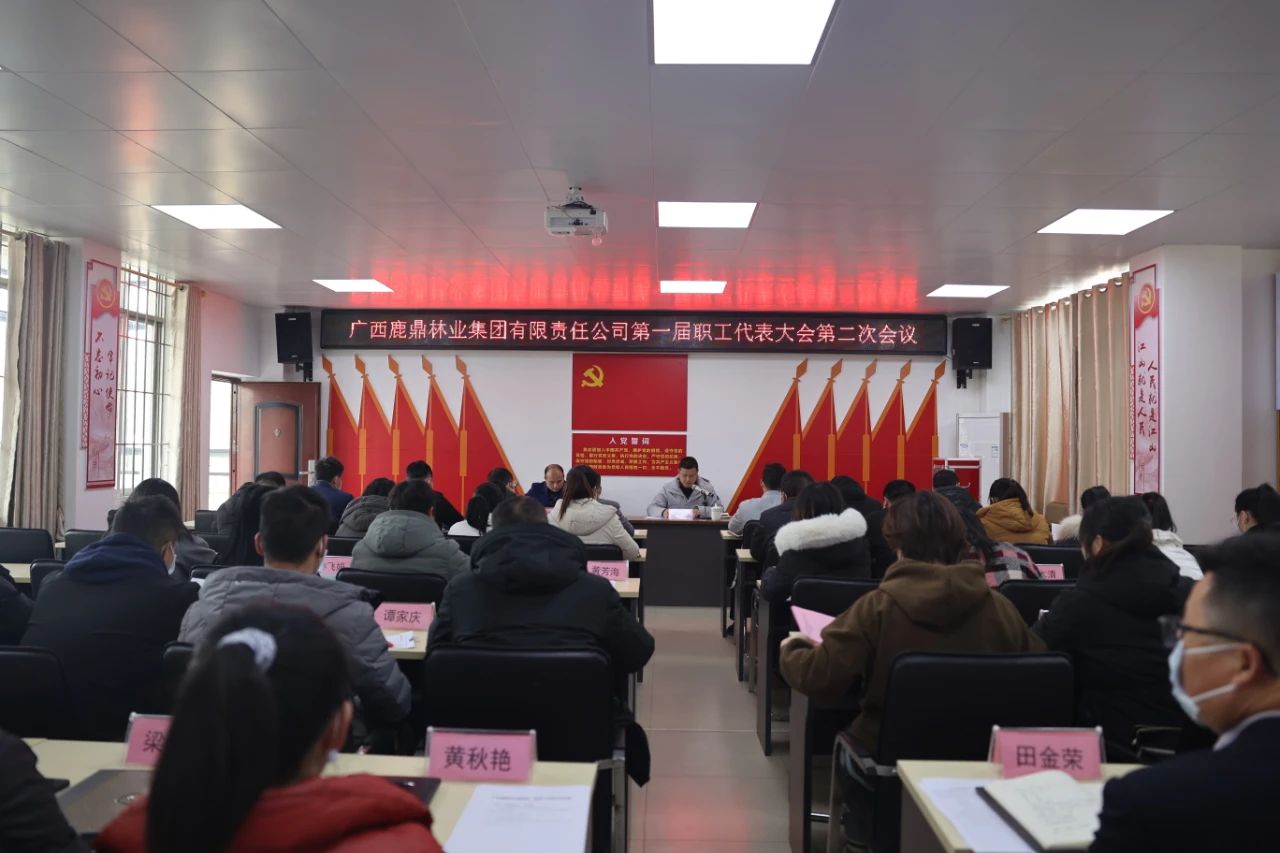广西不朽情缘电子游戏官网林业集团有限责任公司召开第一届职工代表大会第二次会议