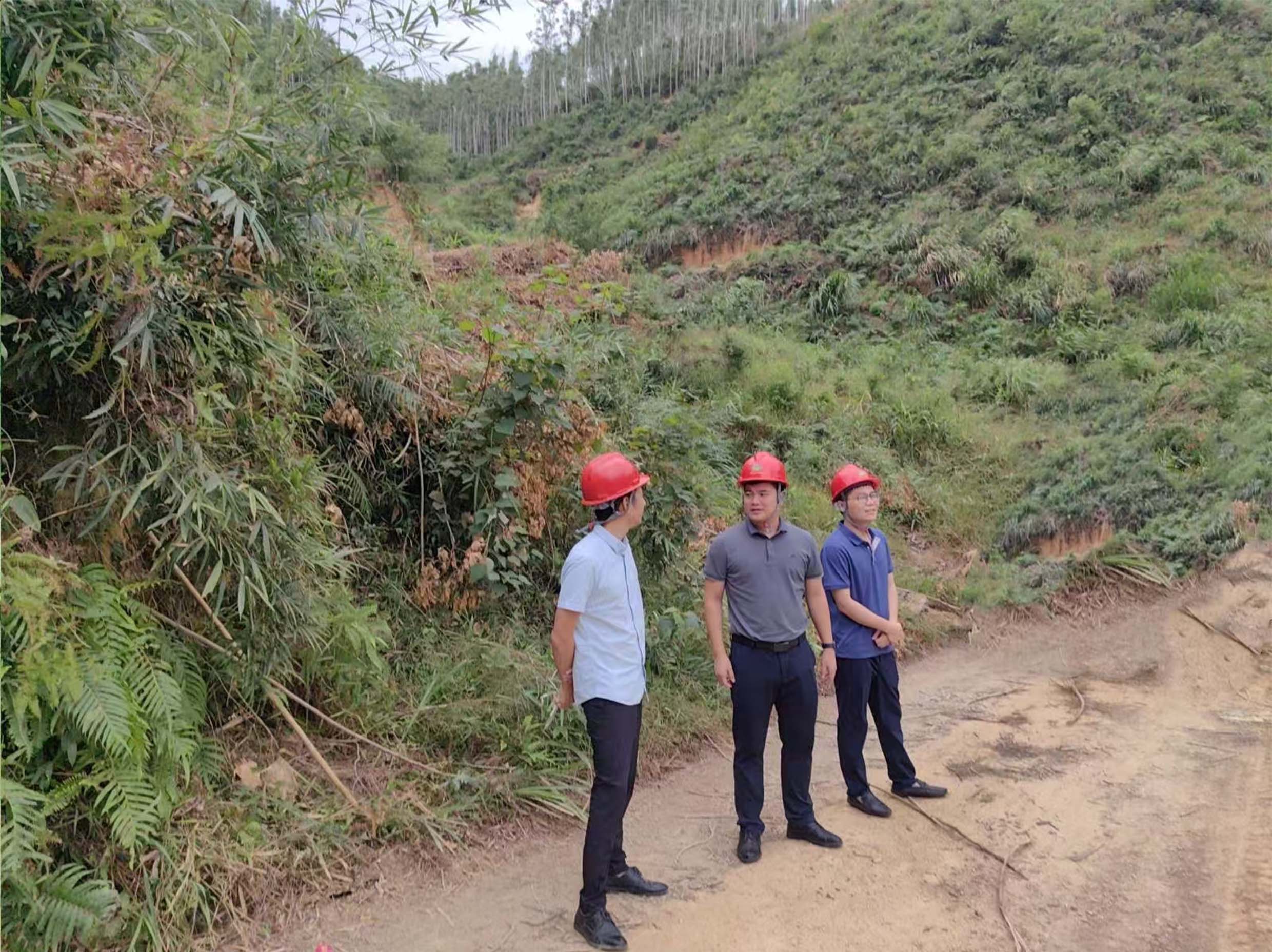 廖长琨到广东林区检查指导工作