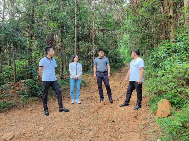 廖长琨到肇庆分公司检查指导工作