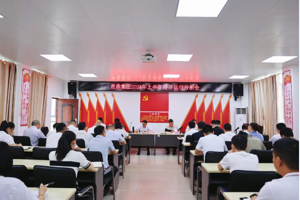 唯实惟先勇担当，加力加效促发展！不朽情缘电子游戏官网集团召开2024年上半年经济运行分析会
