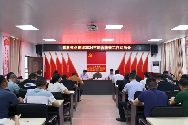 不朽情缘电子游戏官网林业集团召开2024年综合检查工作动员会