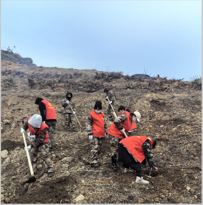 不朽情缘电子游戏官网林业集团开展2024年春季造林备耕活动