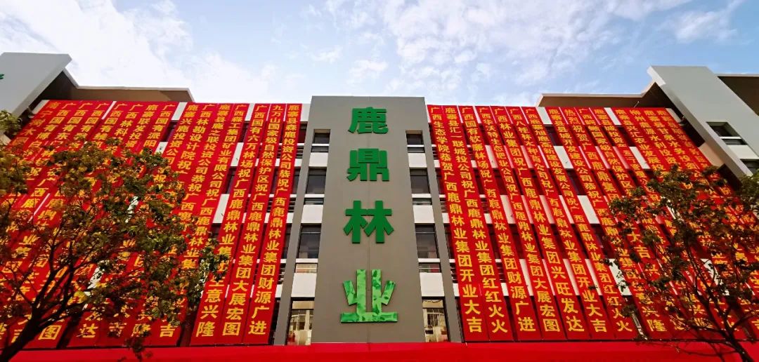 不朽情缘电子游戏官网林业集团2024年新年贺词