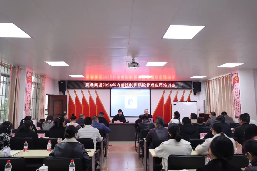 广西不朽情缘电子游戏官网林业集团举办2024年内部控制和风险管理应用培训会