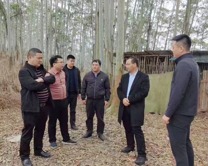 集团领导春节前夕深入林地检查指导工作并走访慰问基层一线员工