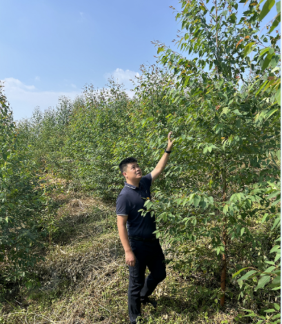 廖长琨到鹿寨县那陆岭林地检查指导工作