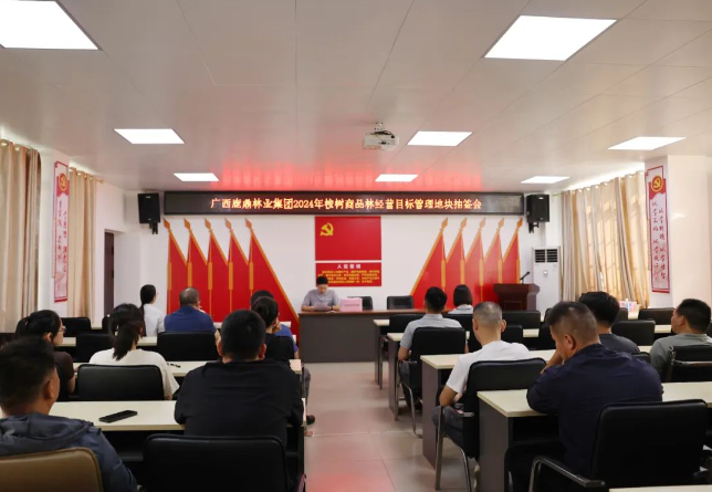 不朽情缘电子游戏官网林业集团正式实施桉树商品林经营目标管理工作