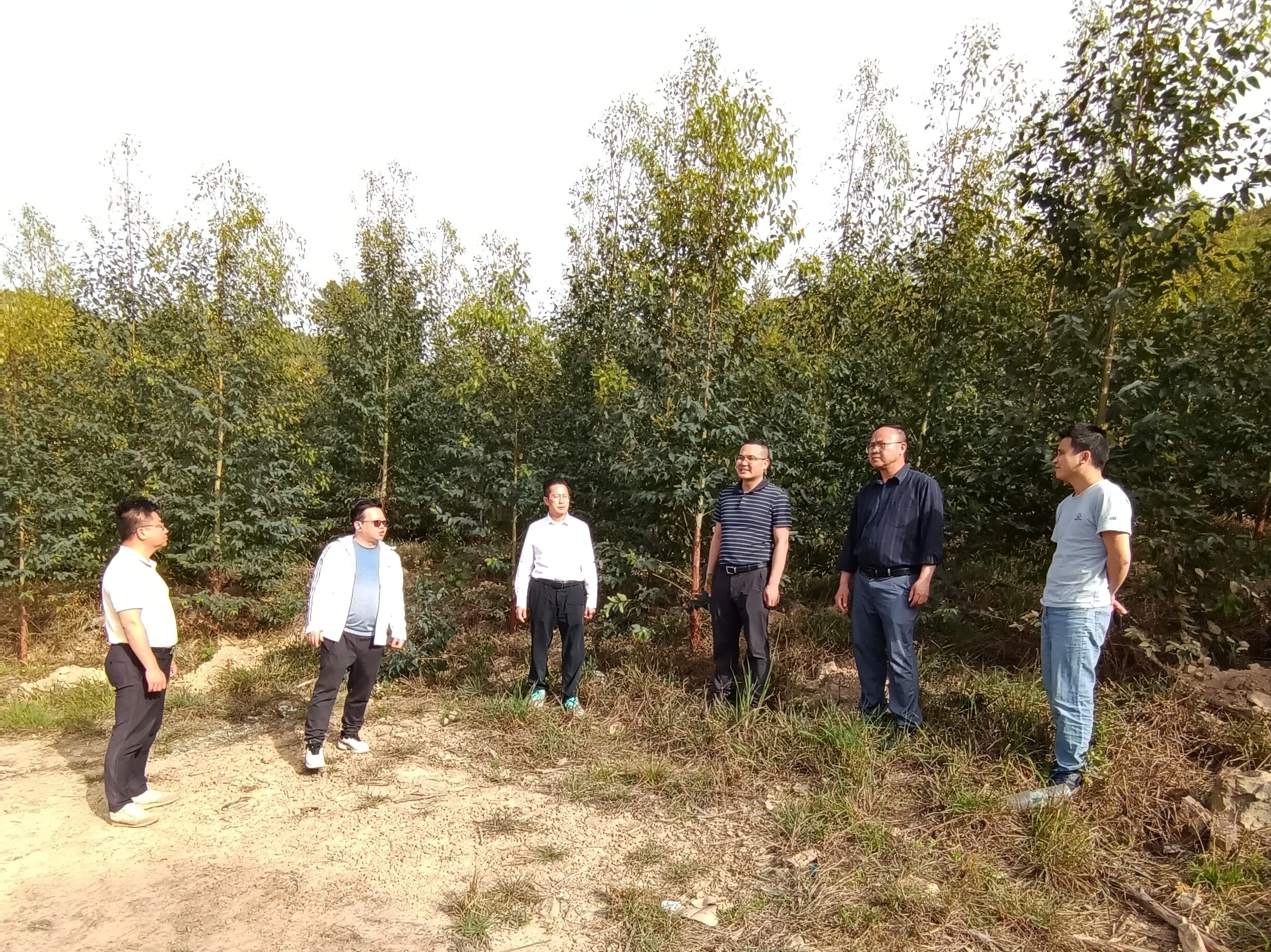 三门江林场副场长肖崇福、副场长尹华山一行到不朽情缘电子游戏官网集团林地检查指导工作