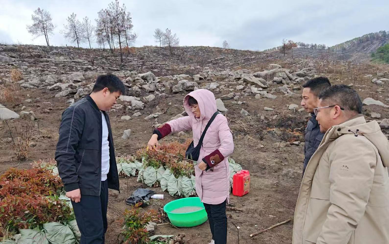 廖长琨到鹿晟公司莲花水库林地指导春季造林工作