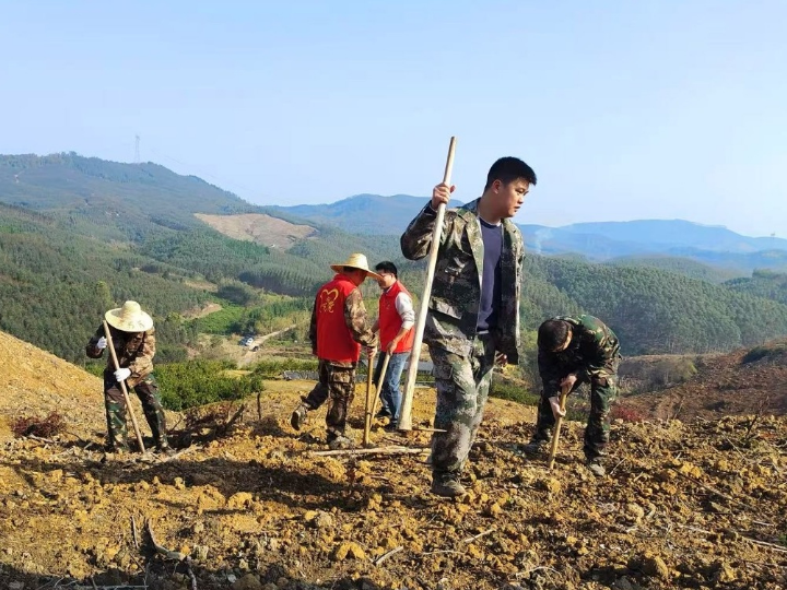 迎着春雨，吹响号角，干起来