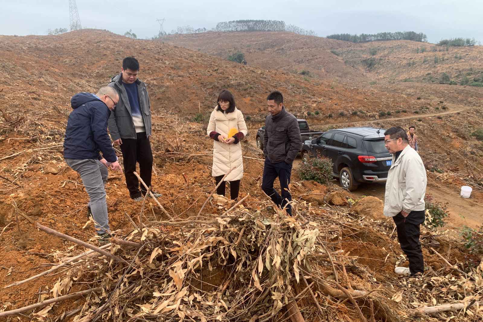 廖长琨到鹿晟公司崇岭分场林地指导造林备耕工作